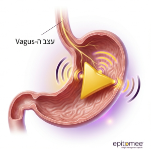 קפסולת אפיטומי - כדור לירידה במשקל