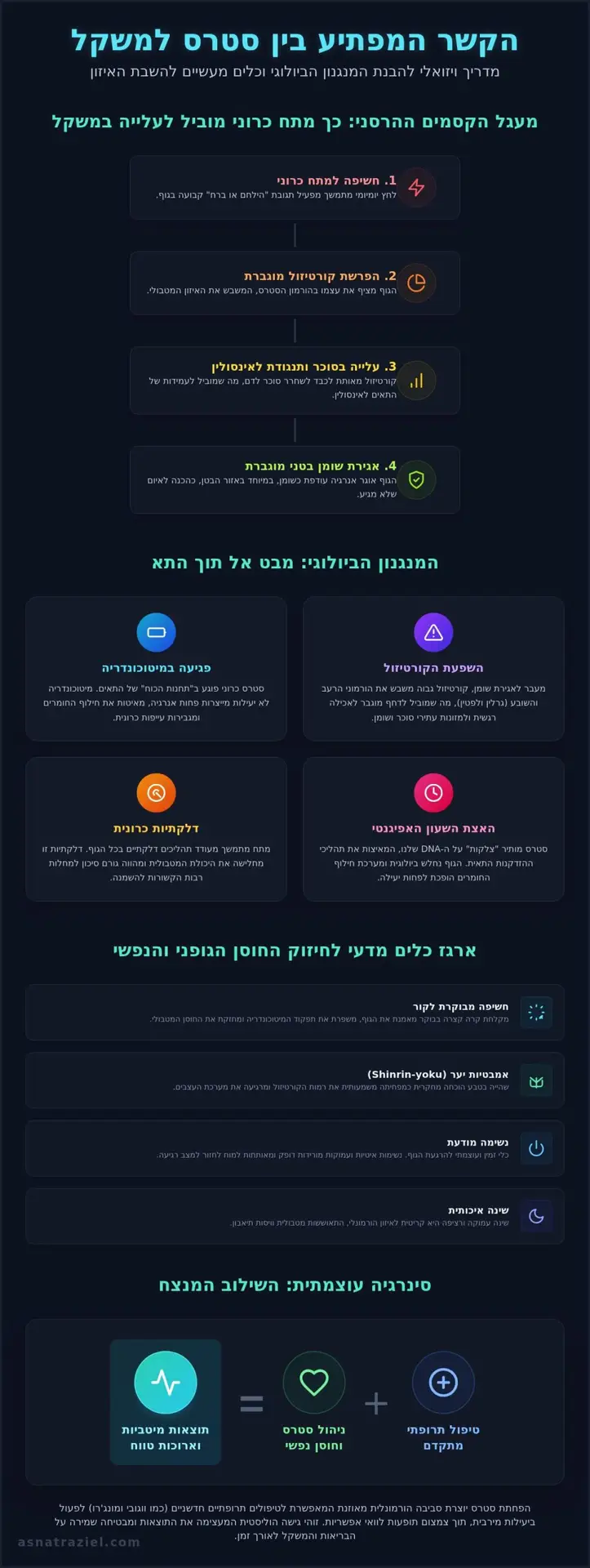 הפחתת סטרס וירידה במשקל: המדריך המדעי לבריאות מטבולית ואריכות ימים
